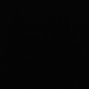 Meet your Posher, Charles